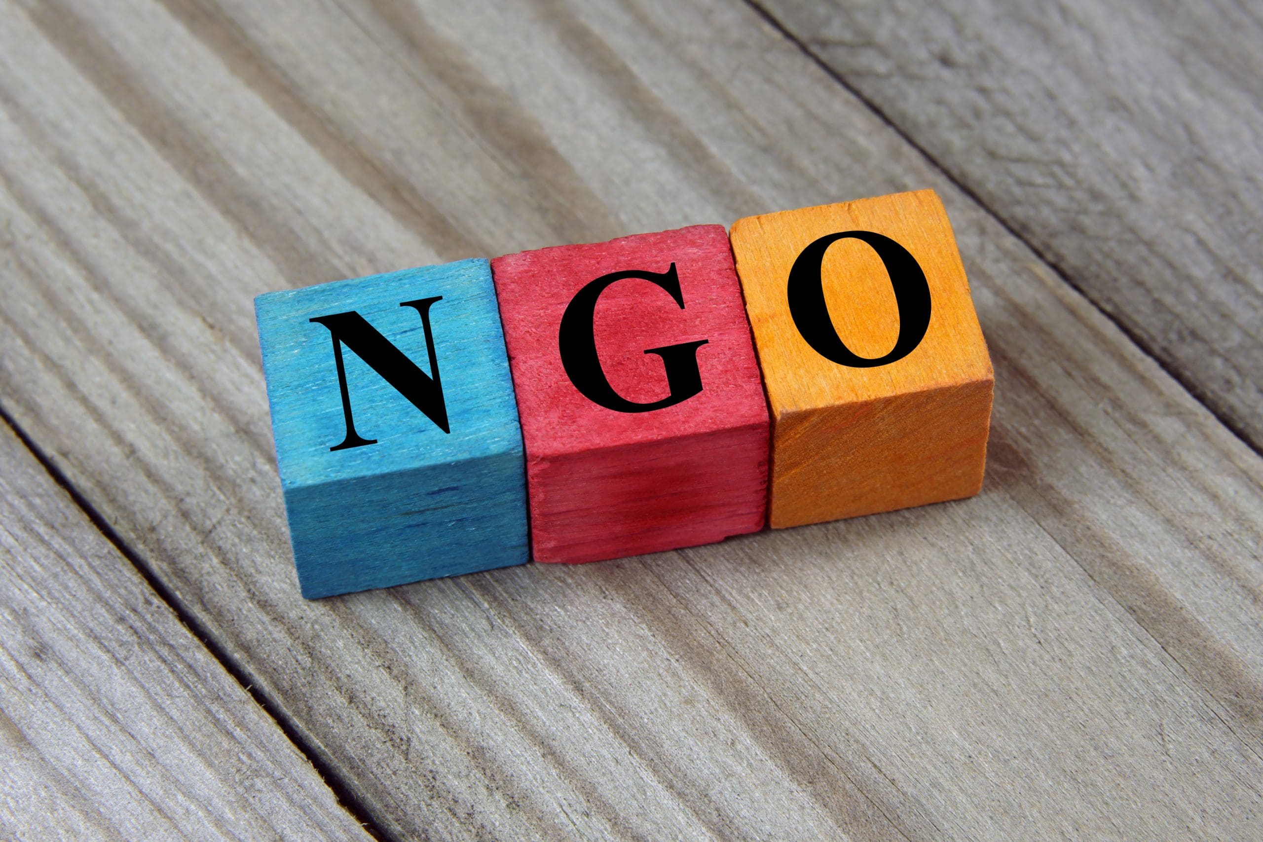 A wooden block with the word ngo on it.