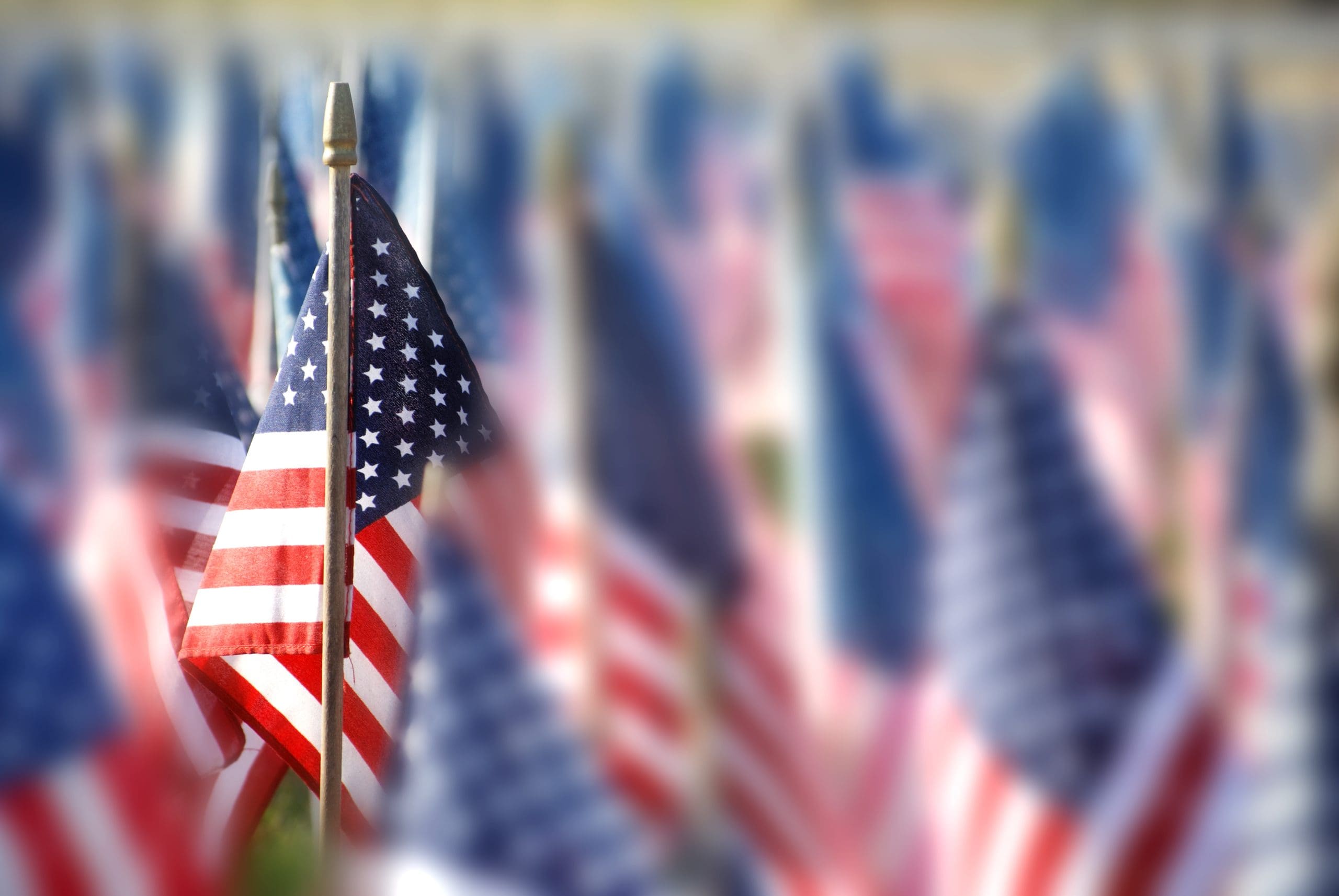 A group of american flags in a field.